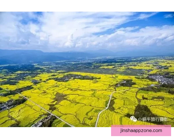 探索金沙体育竞猜平台的全新玩法与赢取策略指南